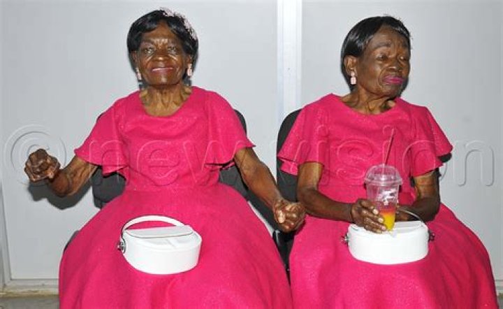 6-Year-Old Twins Sold For $500