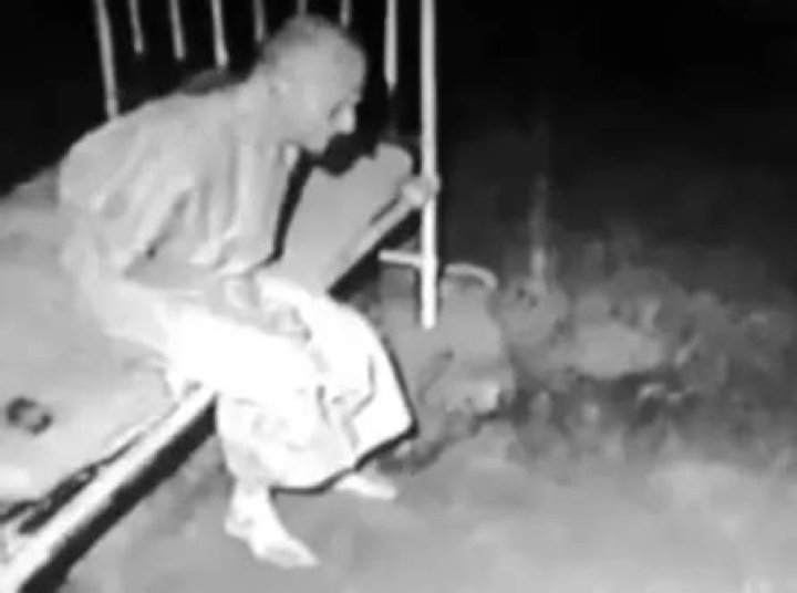 Discoveries And Insights Of The Abigail Western Age