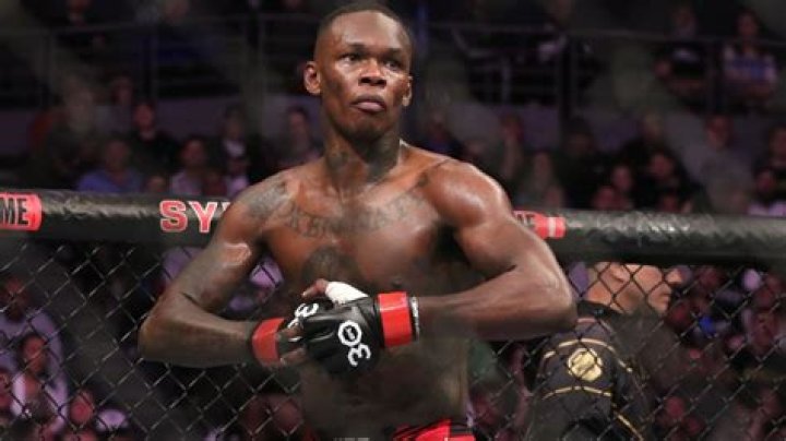 Adesanya Brothers' Journey To Martial Arts Glory