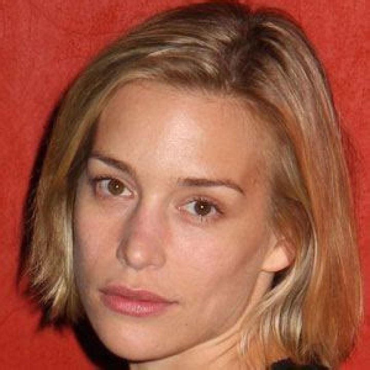 Unveiling The Enigmatic Age Of Piper Perabo: Discoveries And Insights