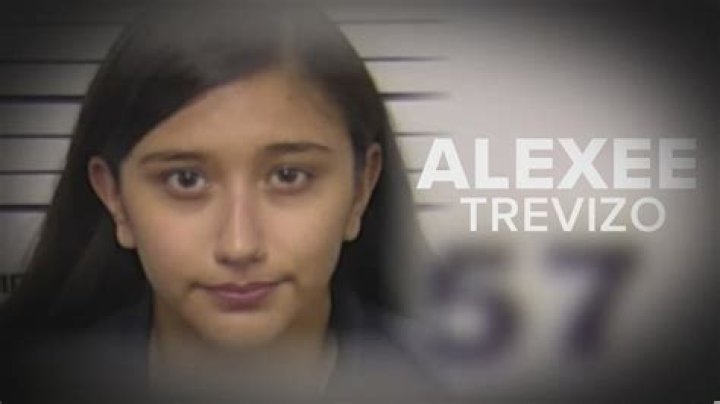 Uncover The Untold Story Of Social Justice Warrior Alexee Trevizo: A Wiki Of Discoveries