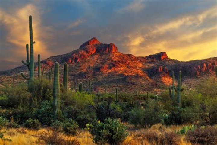 Unleash The Wonders Of Arizona Photography: Discoveries And Insights