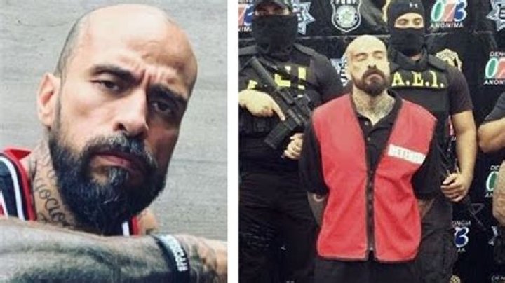 Unveiling The Secrets Of Babo Height: Discoveries And Insights