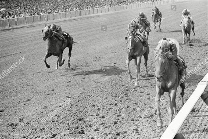 A Guide To Fines, Fees, And