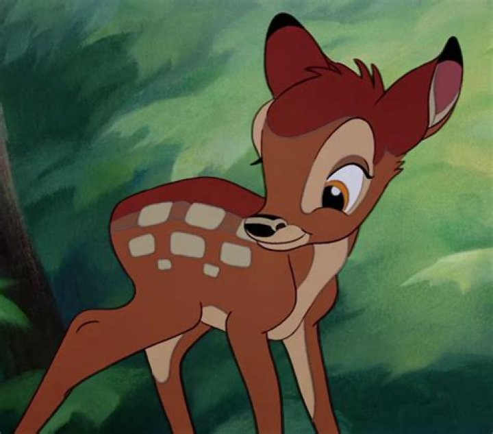 Unveiling The Secrets Of Bambi's Age: A Journey Of Discovery