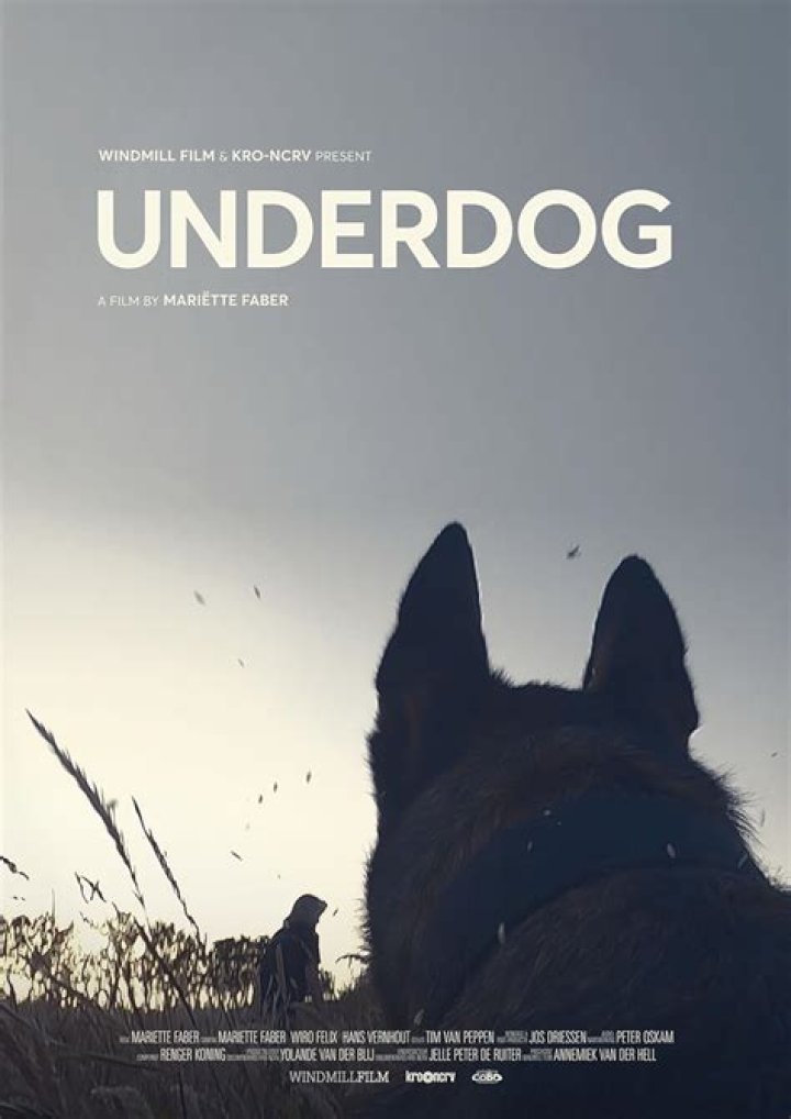 Discover The Art Of Bamging The Underdog In 2022