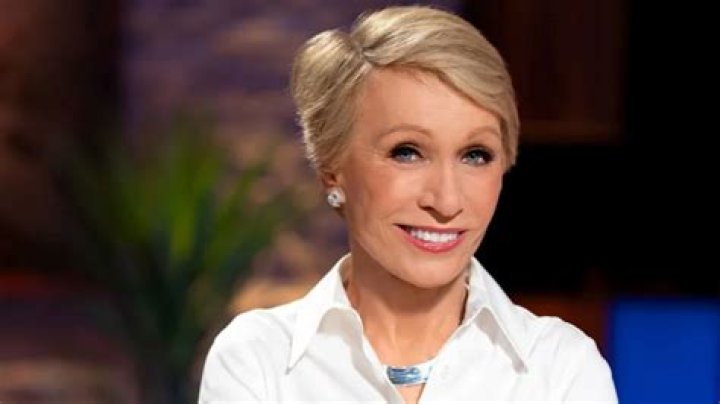 Unveiling Barbara Corcoran's Net Worth: Discoveries And Insights