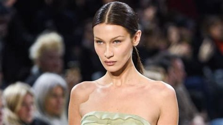 Unveiling Bella Hadid's Heritage: Discoveries That Will Captivate