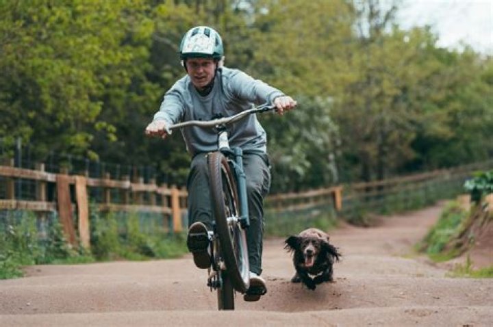 Unveiling Bernard Kerr's Cinematic Legacy: A Wikipedia Odyssey