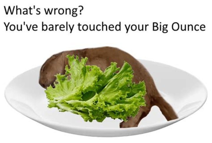 Discoveries And Insights With "Biggerton Ouncerton"