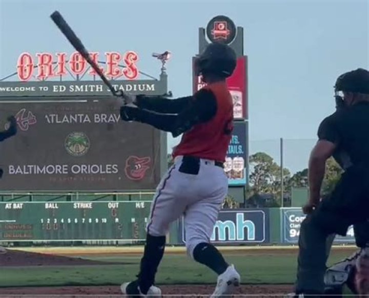 Braylin Tavera And His Impact On The MLB