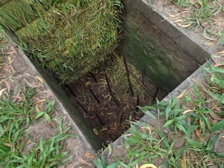 Unveiling The Ancient Secrets Of Burmese Tiger Traps And Their Enduring Impact