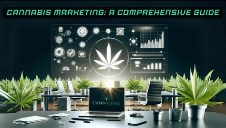 Unlock The Secrets Of Cannabis Marketing Canna-Mack: Discoveries And Insights