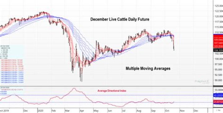Unveiling The Secrets Of Cattle Prices In Mississippi