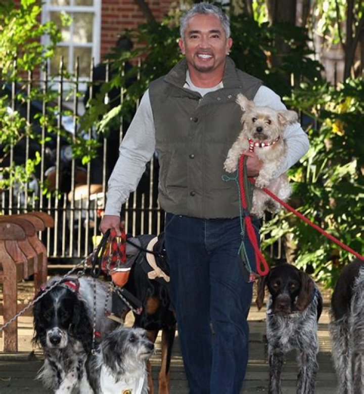 Unveiling Cesar Millan's Net Worth: Secrets And Strategies Revealed