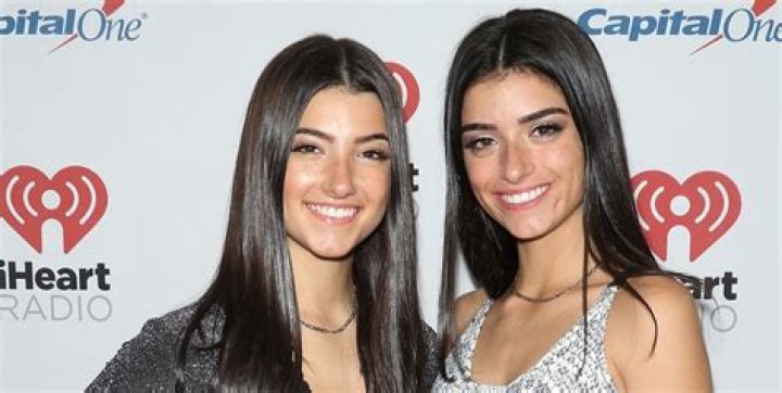 Unveiling Charli D'Amelio's Heritage: Discoveries And Insights