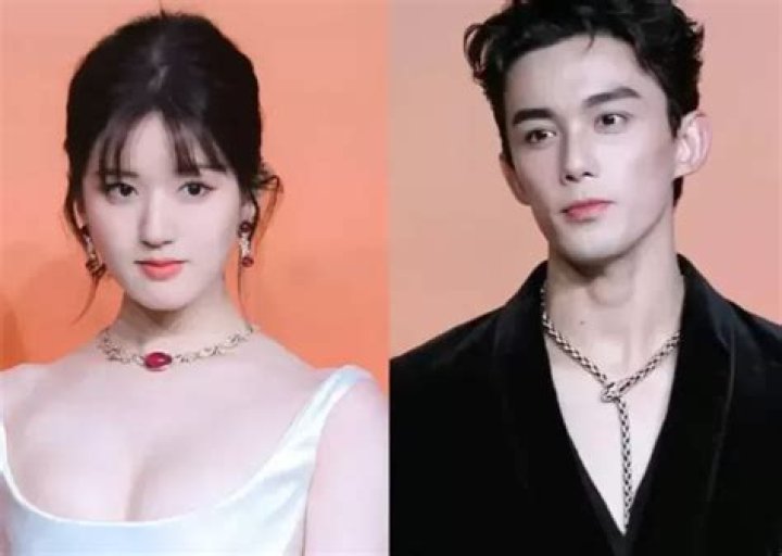 Unveiling The Enigmatic World Of Dylan Wang's Love Life