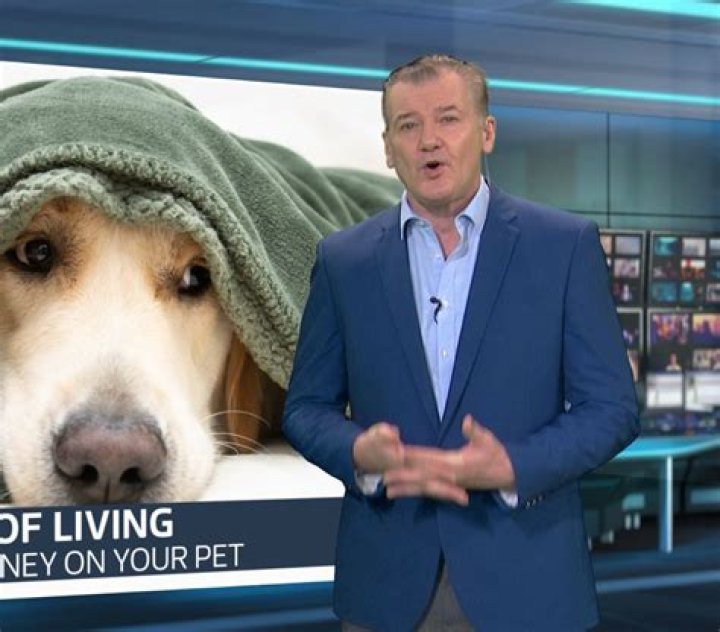 Discoveries From The Chris Choi Wiki