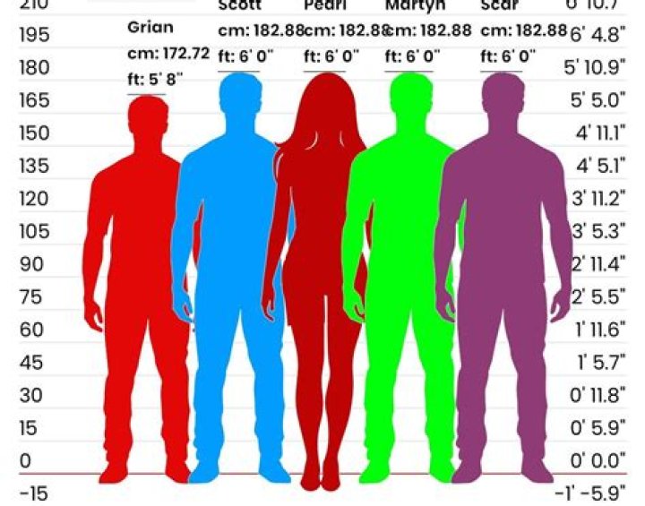 Unveiling Chris Kattan's Height: Unlocking Surprising Insights