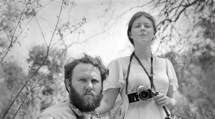 Discoveries And Insights Into Craig Aurness's Genius