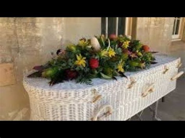 Unveiling The Extraordinary Life And Legacy Of Cynthia Buonfiglio