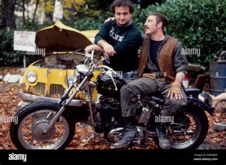 Explore The D-Day Animal House Legacy