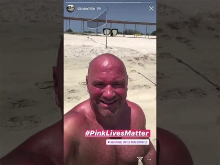 Discover The Wit And Impact Of Dana Pink Memes