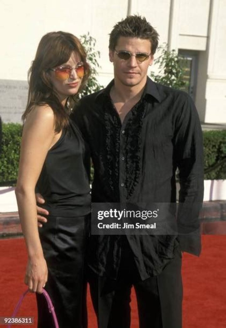 David Boreanaz And Ingrid Quinn's Enduring Love Story