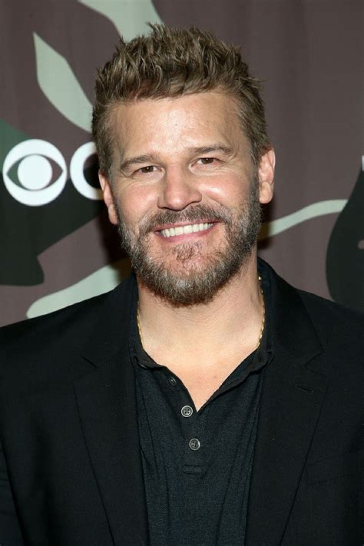 David Boreanaz's Net Worth In 2024