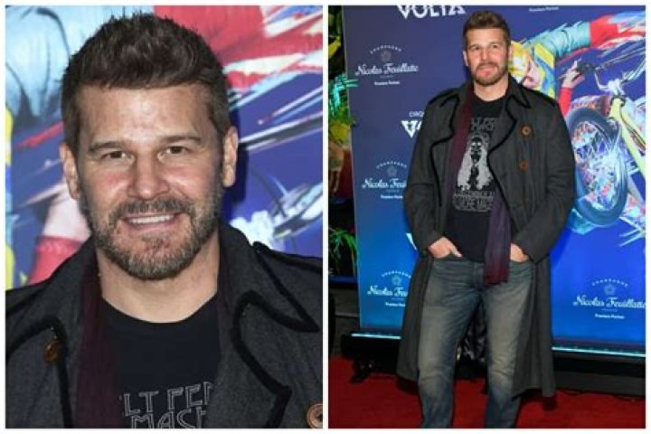 Unveiling David Boreanaz's Net Worth: A Journey To Success