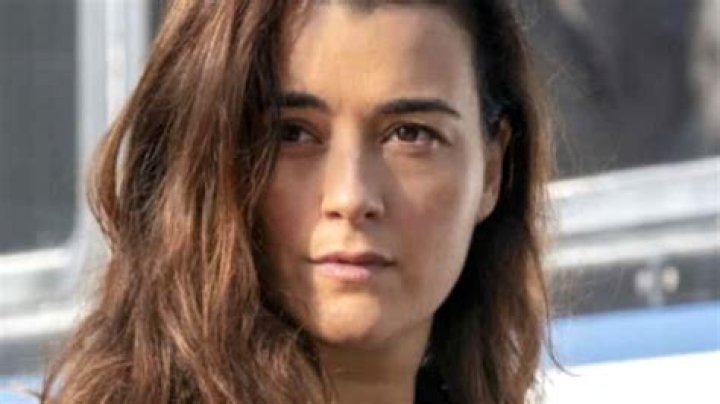 Uncover The Intriguing Journey Of Cote De Pablo: Motherhood And Career Unveiled