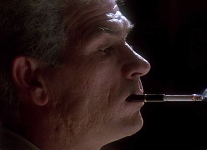 Tommy Lee Jones And The Smoking Enigma