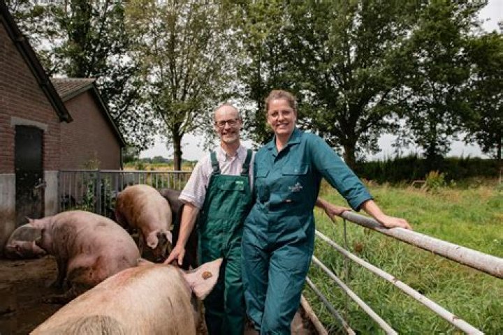 Unveiling The Abstract World Of Doroth Oltman Haveman