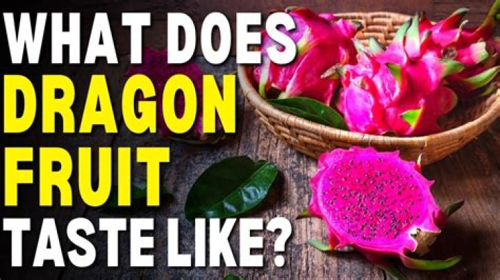 Unveiling The Culinary Paradox: Dragonfruit's Tasteless Delicacy Explored