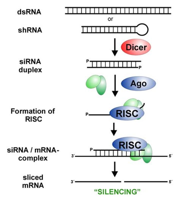 A Football Icon And Mentor