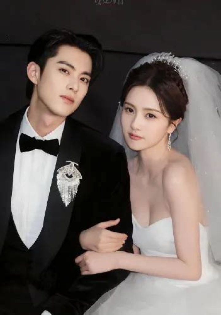Dylan Wang's Relationship Status And Marriage Prospects
