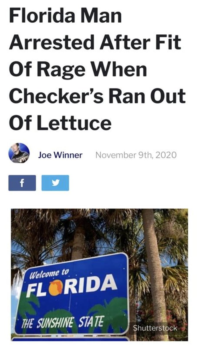 Discover The Strange And Hilarious World Of "Florida Man November 10"