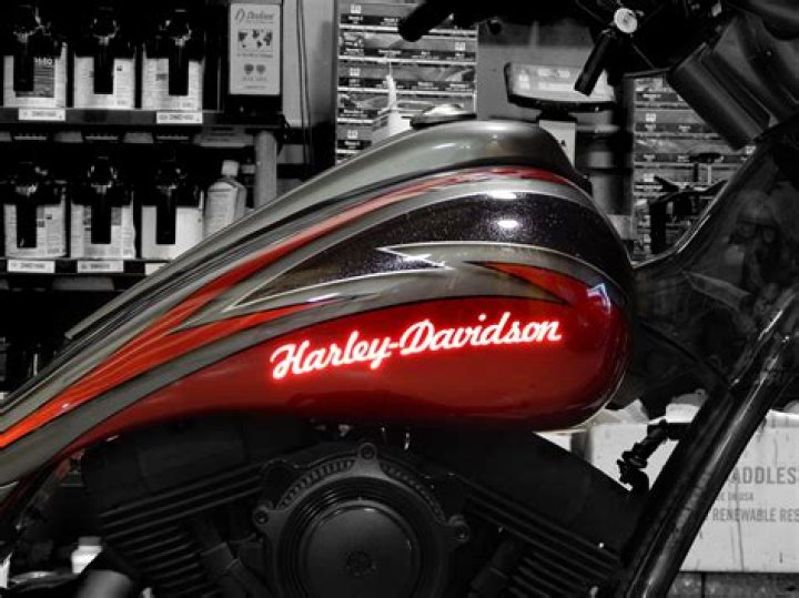 Unveiling The Secrets Of Gator Glass: A Revolutionary Glazing Solution