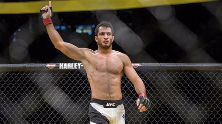 Unlock Gegard Mousasi's Financial Secrets: A Journey To Wealth