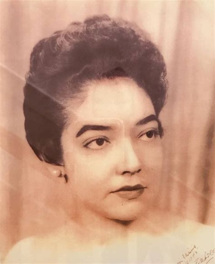 Exploring The Lives And Influence Of Gina Torres's Parents