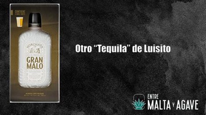 A Deep Dive Into Its Website