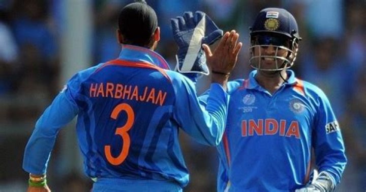 Harbhajan Singh's Net Worth Revealed