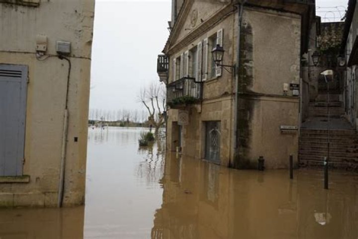 Harrison Ford's Journey With Parkinson's: Uncovering Revelations And Hope