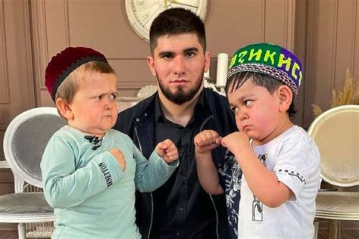 A Journey Into Internet Phenomenon