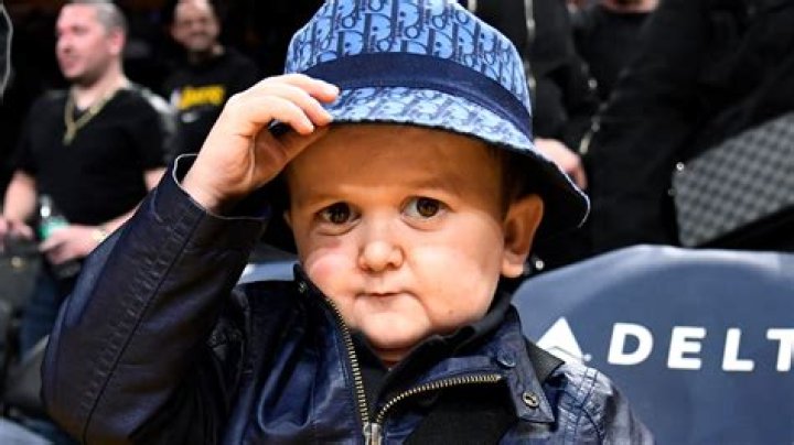 A Journey Of Social Media Stardom And Fighting Fame