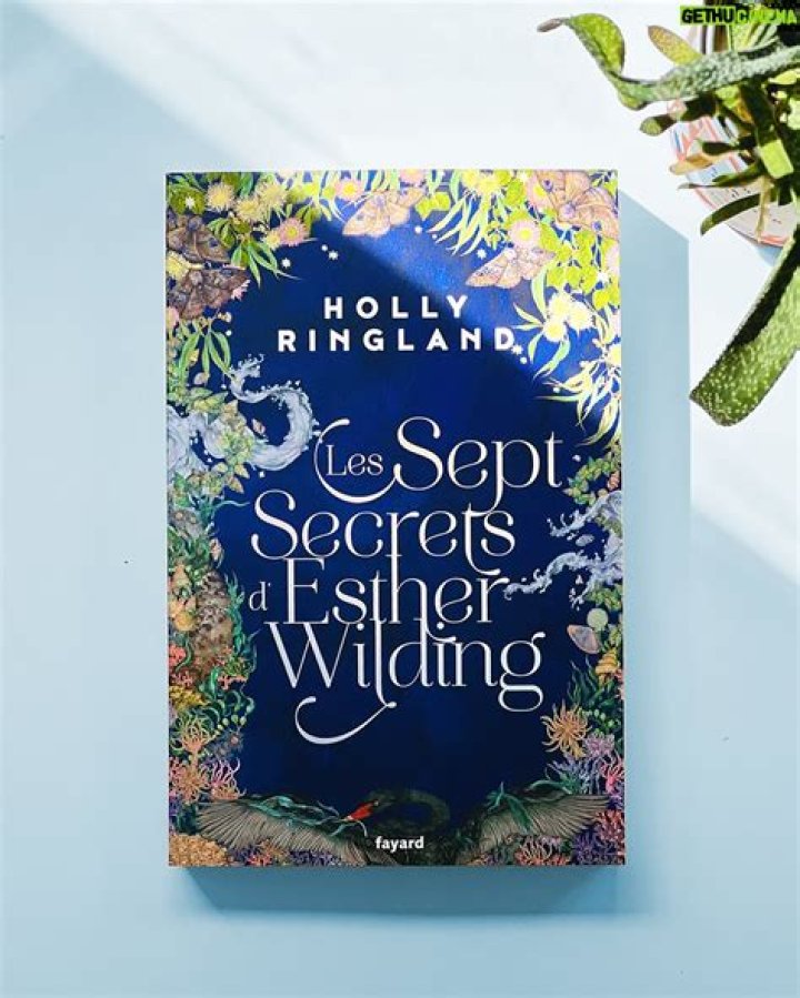 Uncover The Secrets: Holly Ringland's Age Revealed