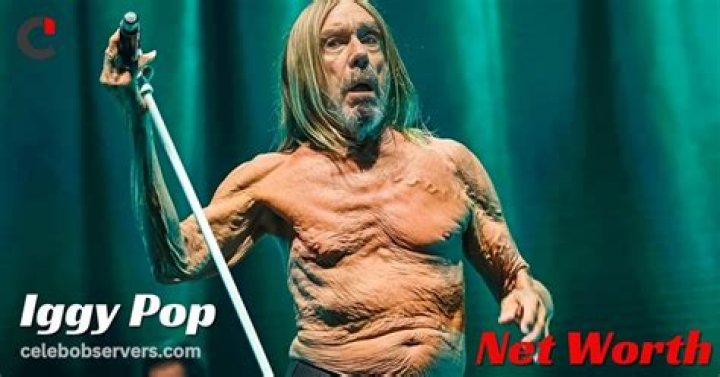 Unveiling Iggy Pop's Net Worth: Discoveries And Insights