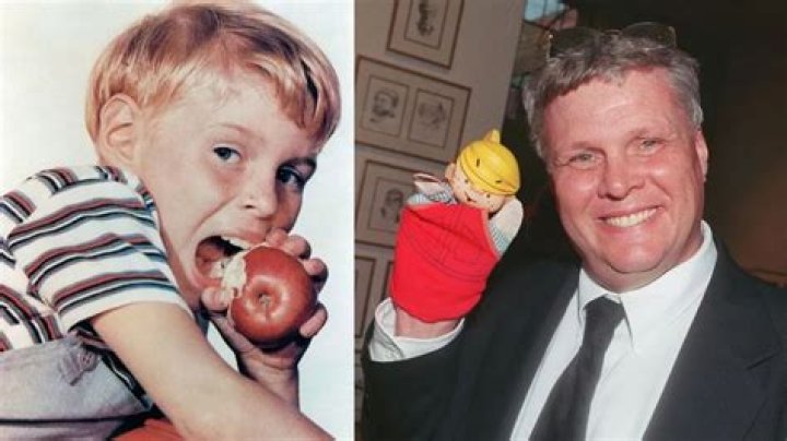 Unveiling Jay North's Net Worth: Secrets And Surprises Revealed!