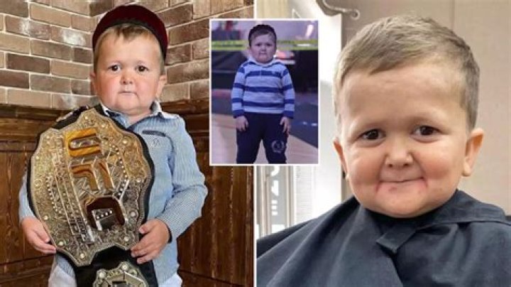 Unveiling Hasbulla's Age: Unraveling The Enigma