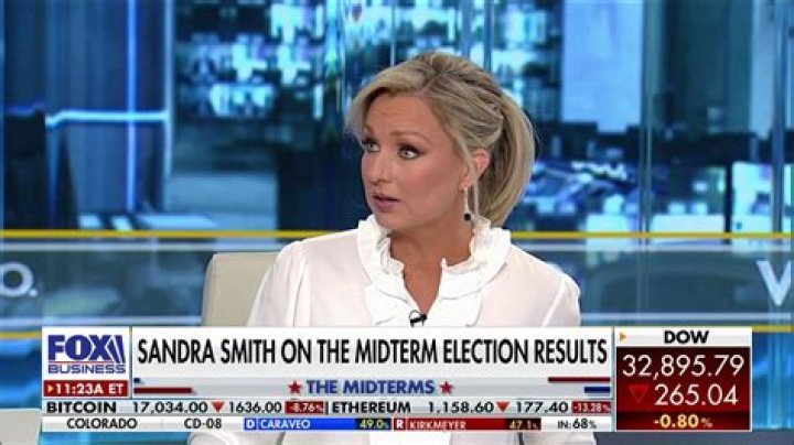 The Age Of Sandra Smith On Fox News Revealed